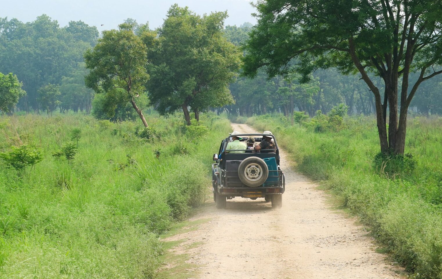 jeep safari