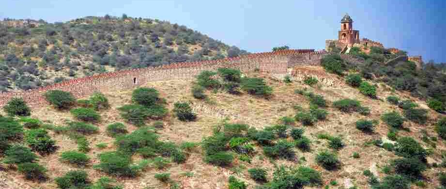 Amer fort