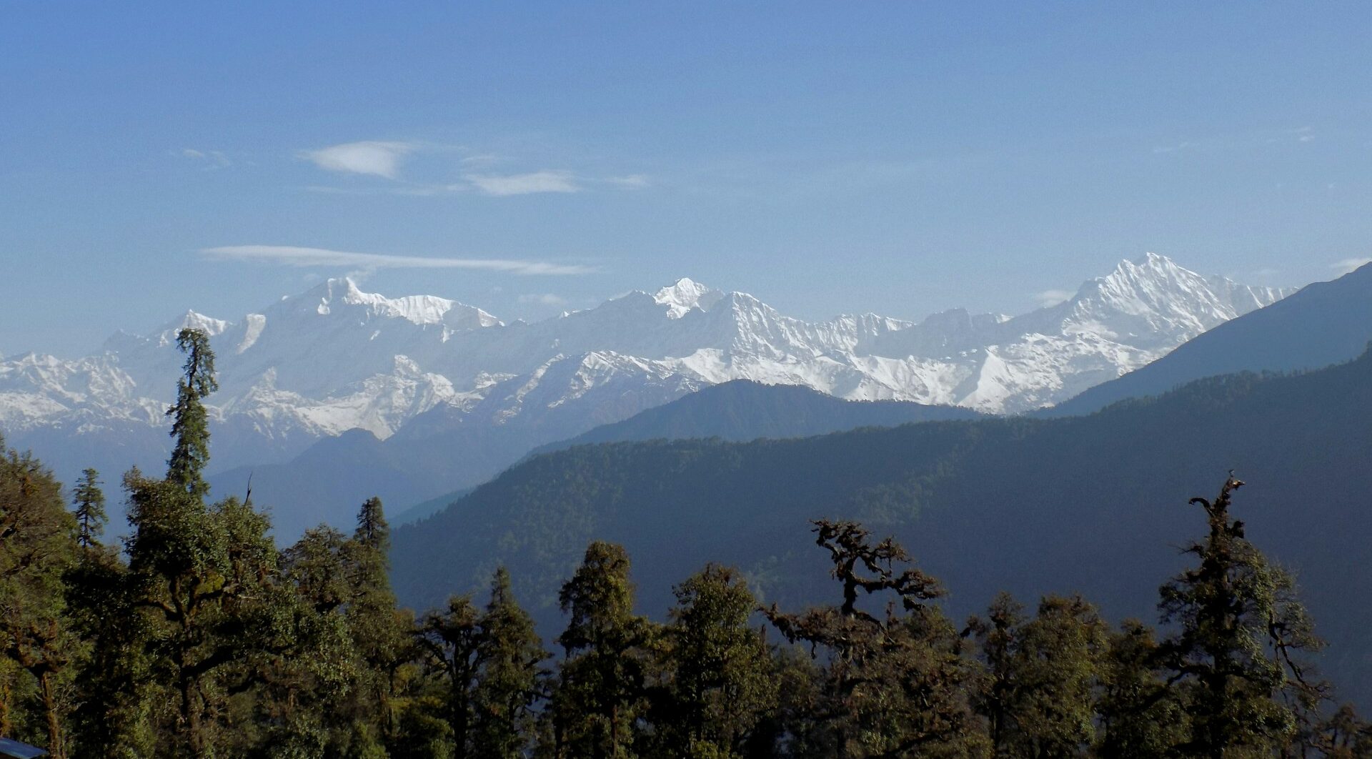 चोपता कैसे जाए